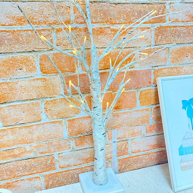 Tomoさんの実例写真