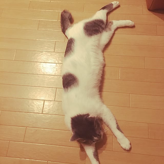 Tomomiさんの実例写真