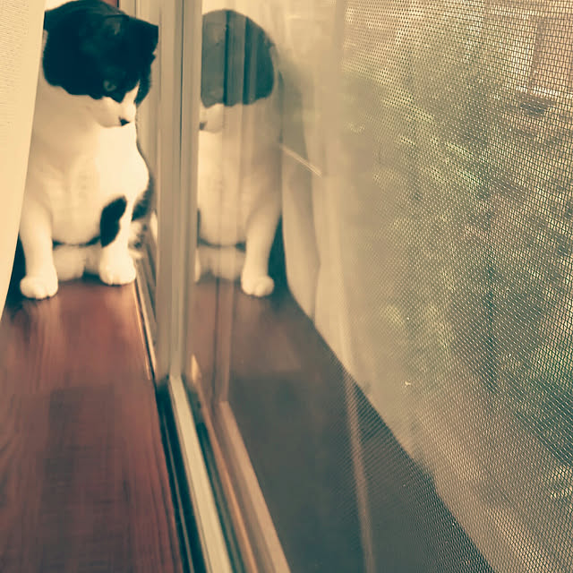 Eriさんの実例写真