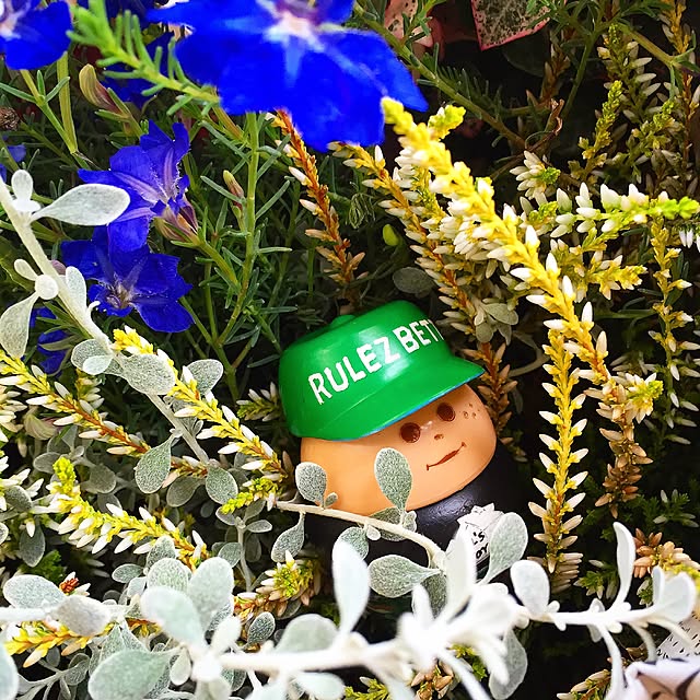 Takuさんの実例写真