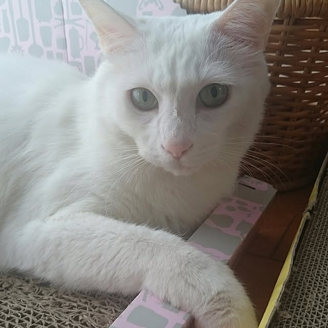 s-kさんの実例写真