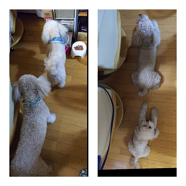 yumirinさんの実例写真