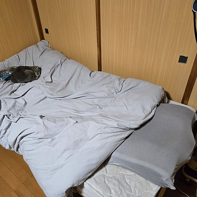 rabbit-houseさんの実例写真