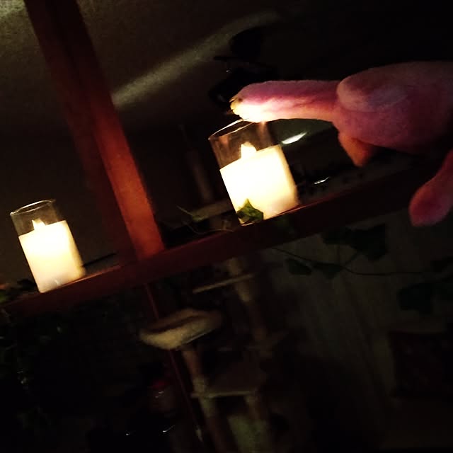 runaさんの部屋