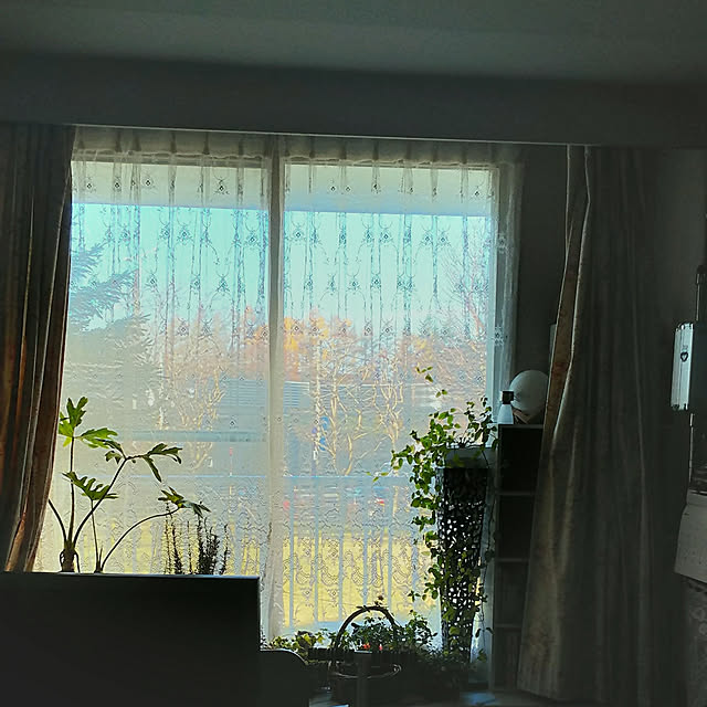 nyankonecoさんの実例写真