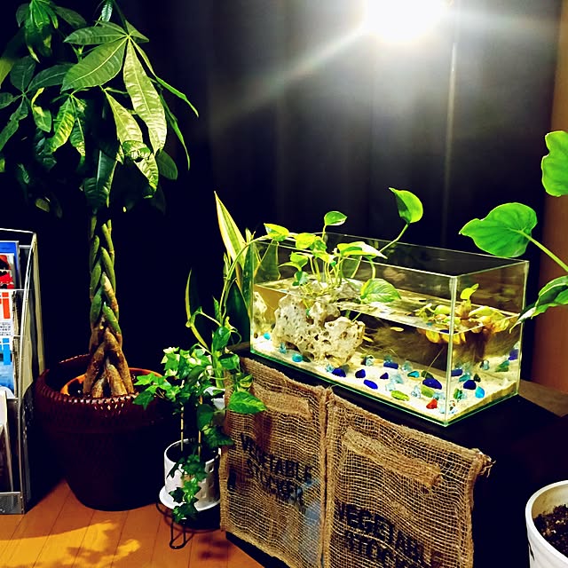 takaさんの実例写真