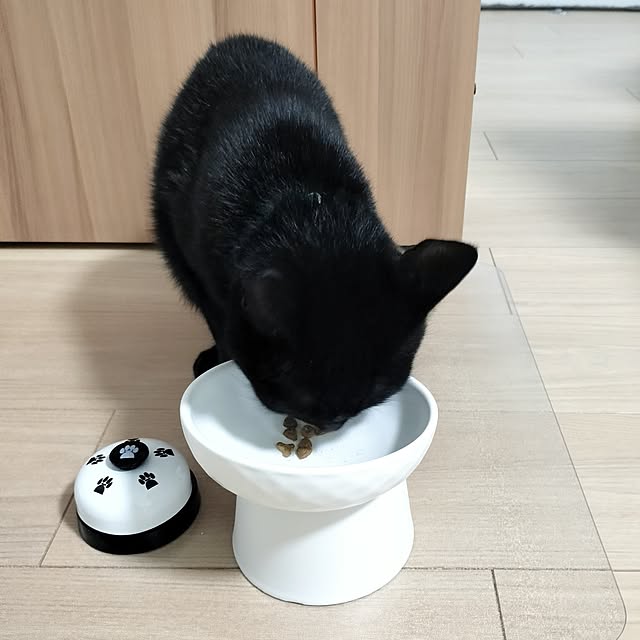 sakuraさんの部屋