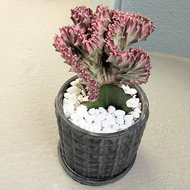 leaf_homeさんの実例写真