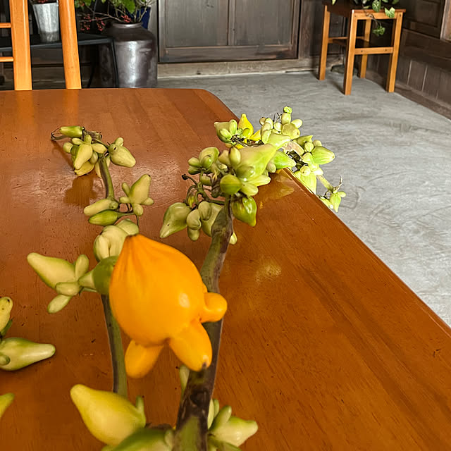 cotaさんの部屋