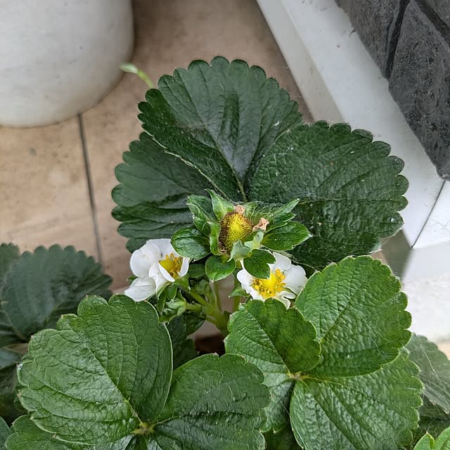 minnieさんの部屋