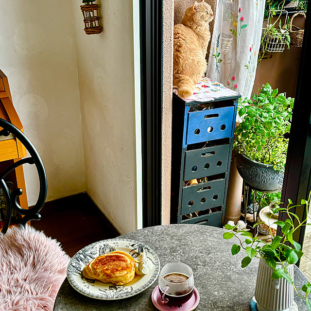 naokoさんの部屋