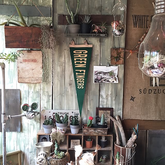edenさんの実例写真