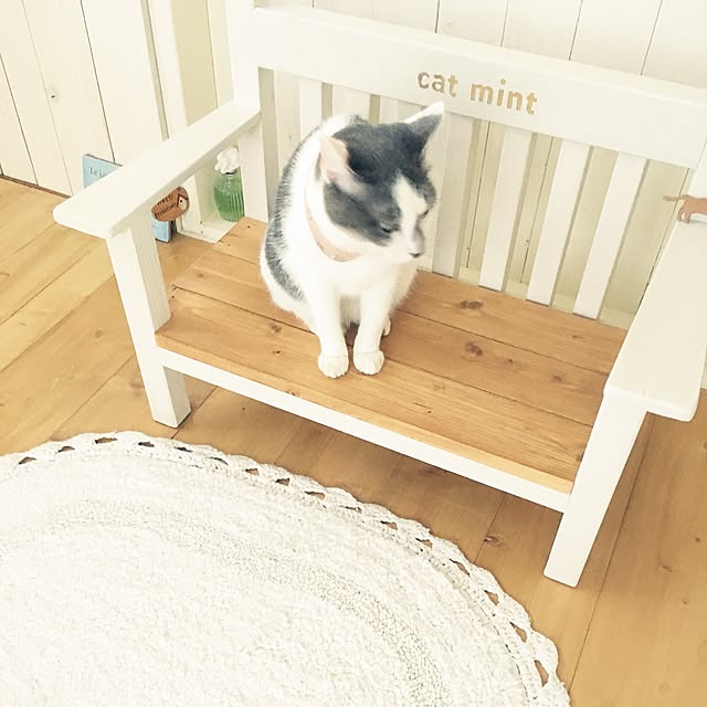 mintcatさんの実例写真