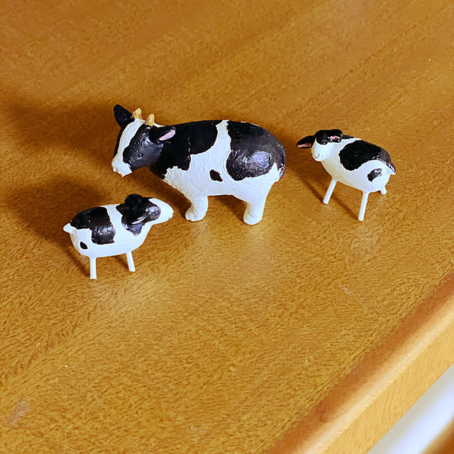 Enjuさんの実例写真