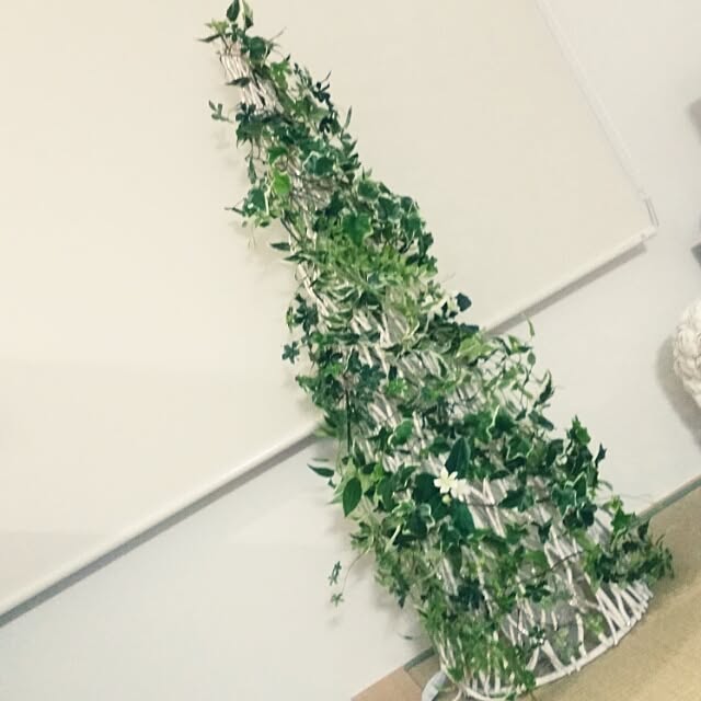 Nanaさんの実例写真