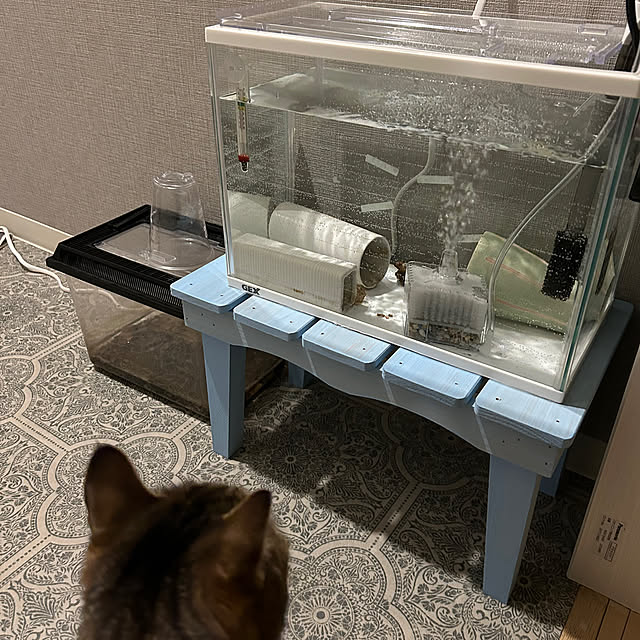 mikomaruさんの実例写真