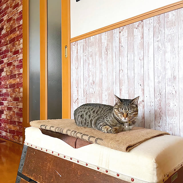 Mさんの実例写真