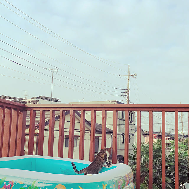 yurari.bonnさんの実例写真