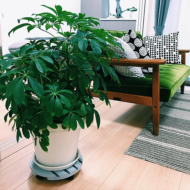 pandaさんの実例写真