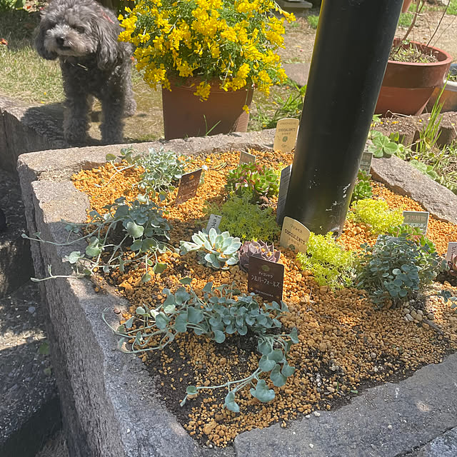 Selipさんの実例写真