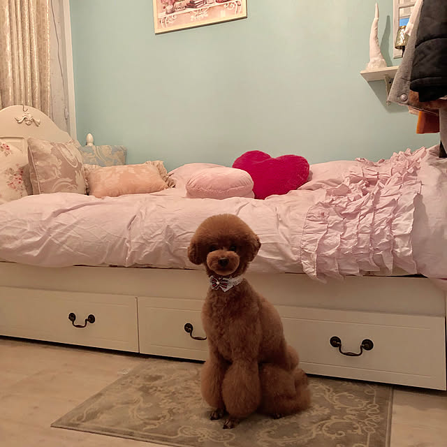 Naomiさんの実例写真