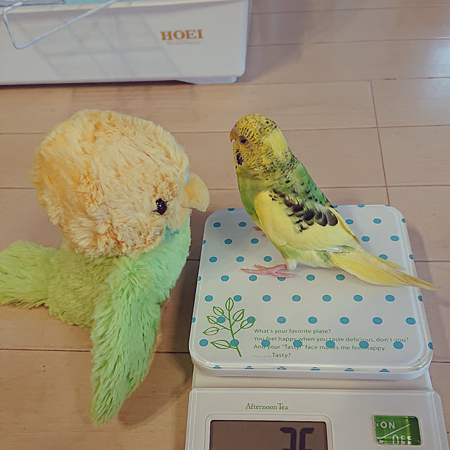 kyonさんの実例写真