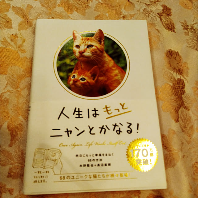 lilyさんの実例写真