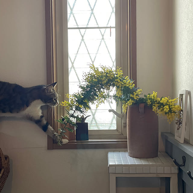 nobikoさんの部屋