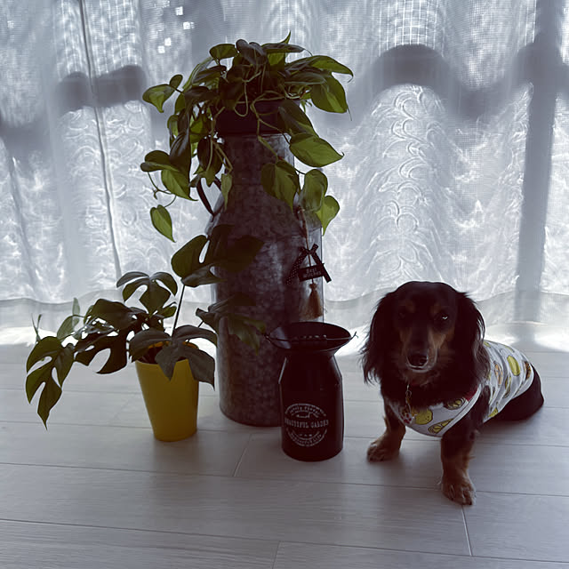 Rujuさんの実例写真