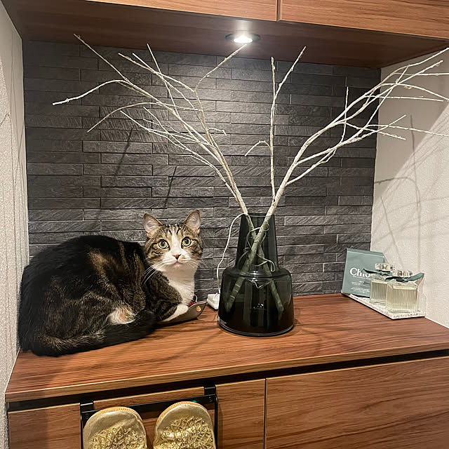 maimaiさんの部屋