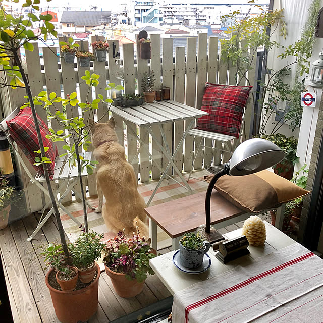 leonaさんの実例写真