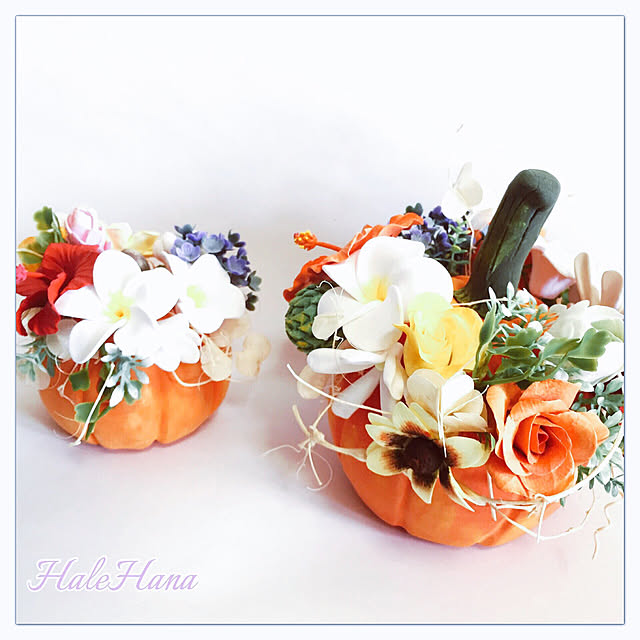 HaleHanaさんの実例写真