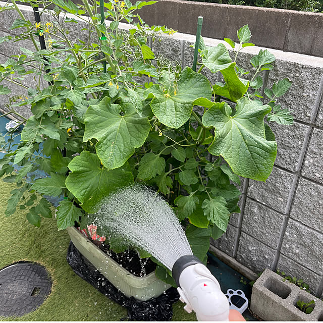 bonapetiさんの実例写真