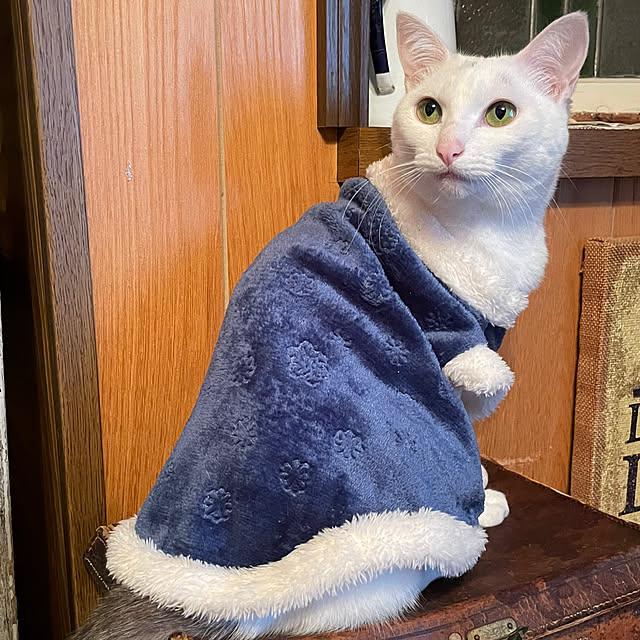Rt_styleさんの部屋