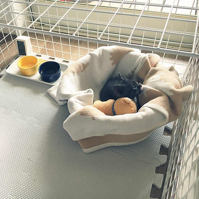 masamasaさんの実例写真