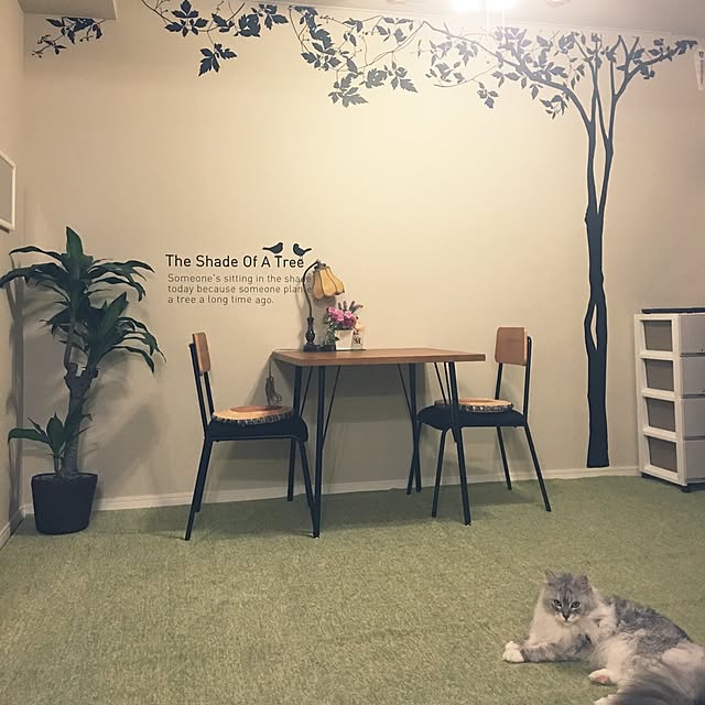 実例写真