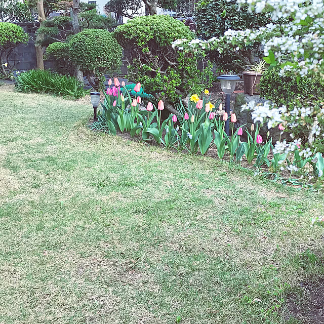 Takenoyaさんの実例写真