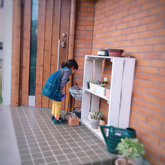 玄関/入り口/玄関ドア/多肉棚DIY/メダカ/平成元年の家...などのインテリア実例 - 2019-04-05 17:32:46