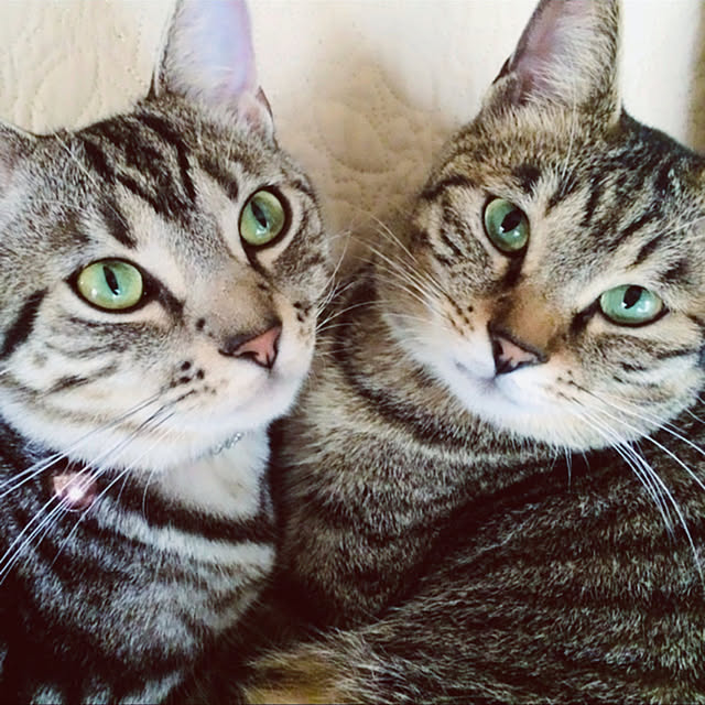 heidiさんの実例写真