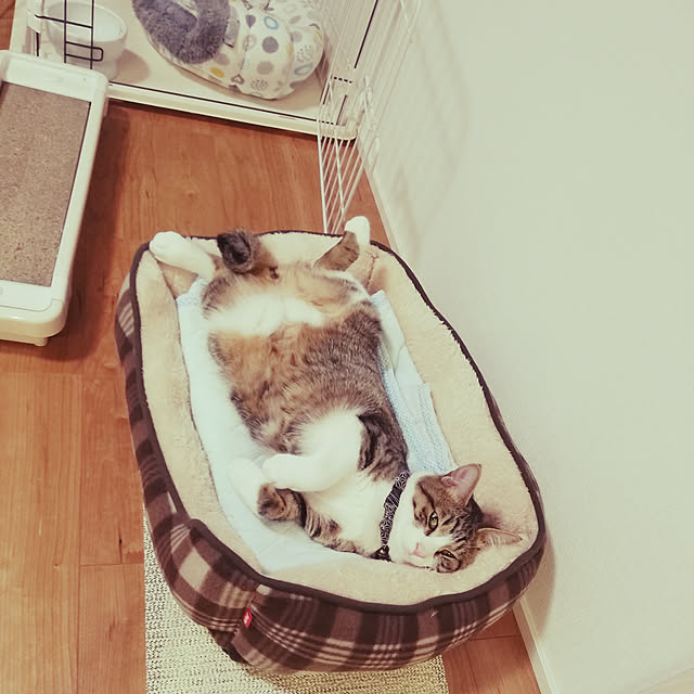 Holさんの実例写真