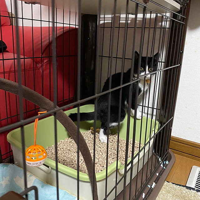 Mitoさんの実例写真