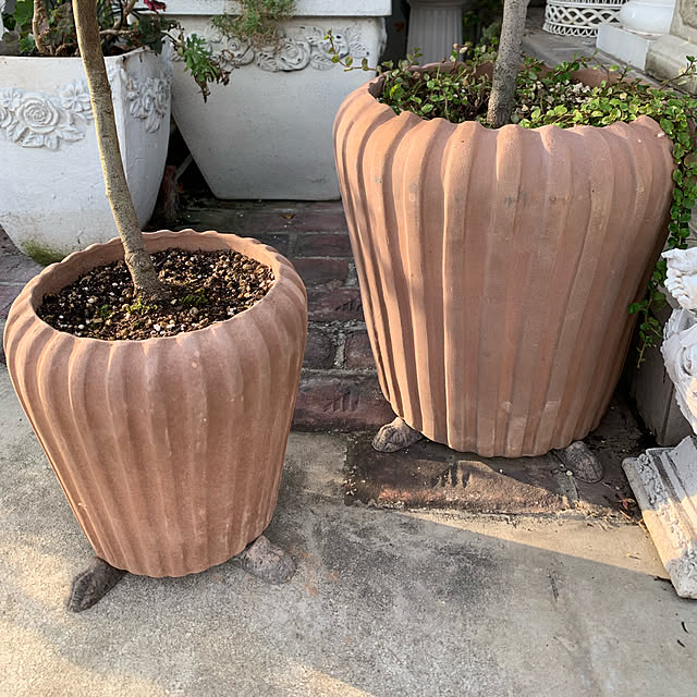 AYUKOさんの実例写真