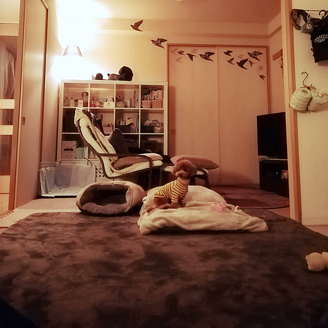 junjunさんの実例写真