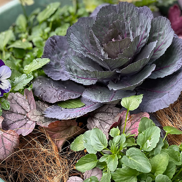 buchiさんの部屋