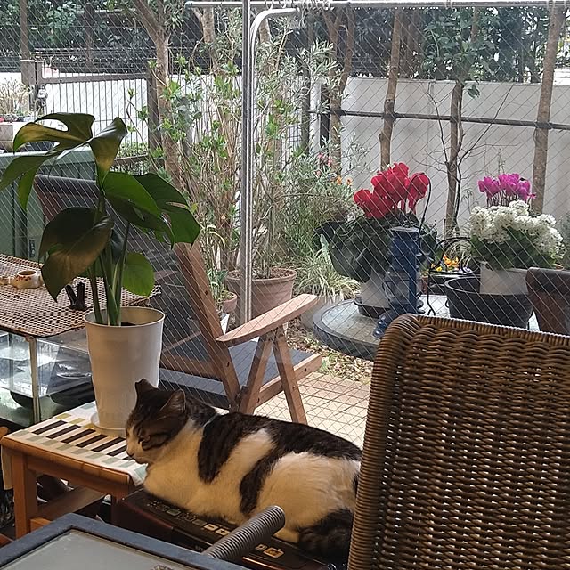 okyosan101さんの実例写真