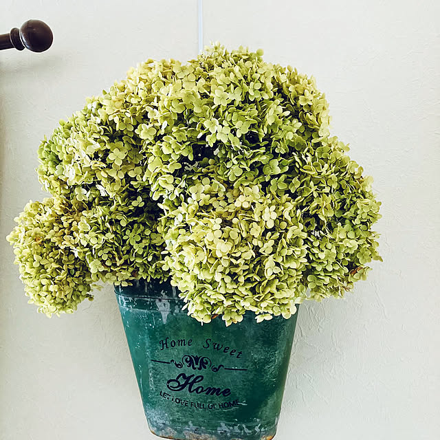 Sunocoさんの実例写真