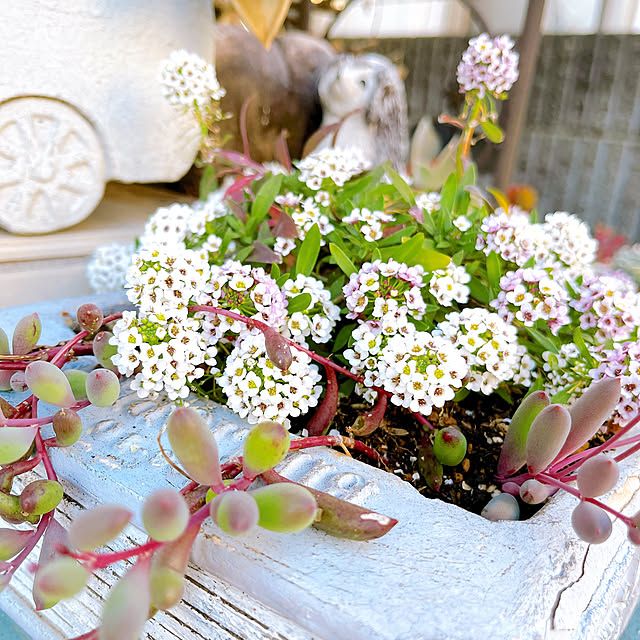 eriharuさんの部屋