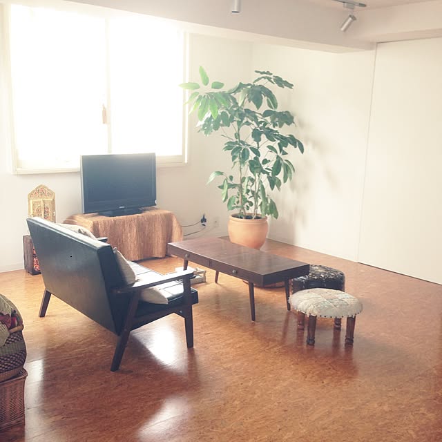 mushfactoryさんの実例写真