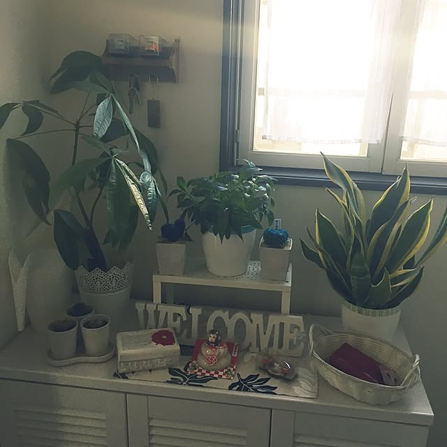 ykariさんの実例写真