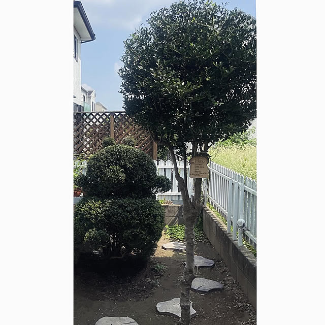 Ohigeさんの実例写真